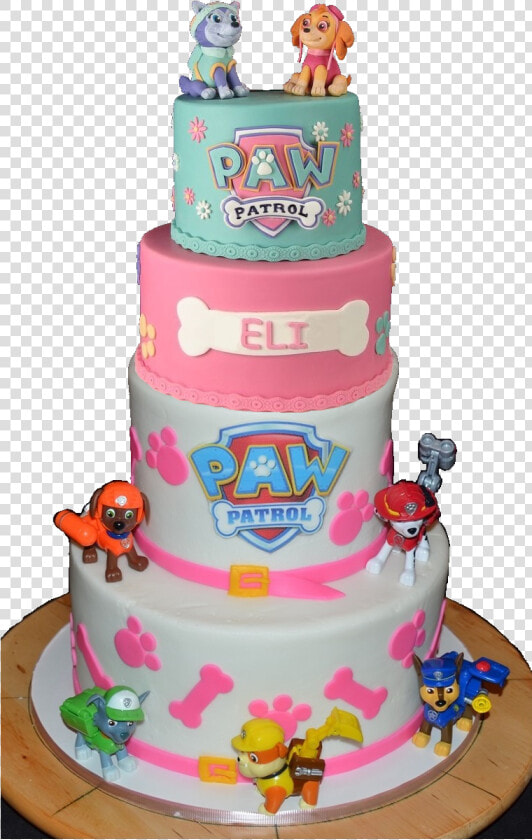 Felicitaciones De Cumpleaños Vii   Paw Patrol  HD Png DownloadTransparent PNG