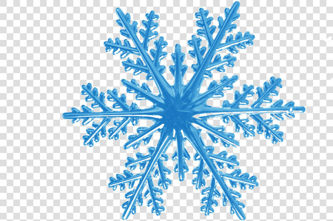 Snowflake Rotational Symmetry   Transparent Background Snowflake Clipart  HD Png DownloadTransparent PNG