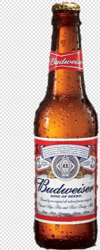 Transparent Beer Clipart Free   Budweiser Beer  HD Png DownloadTransparent PNG