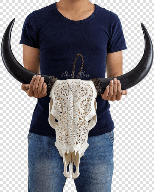 Carved Cow Skull    Xl Horns   Goat Skull Viking Carved  HD Png DownloadTransparent PNG