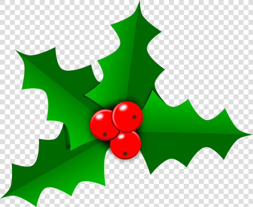 Holly  Christmas  Leaf  Green  Decoration  Berry   Transparent Holly Leaf Png  Png DownloadTransparent PNG