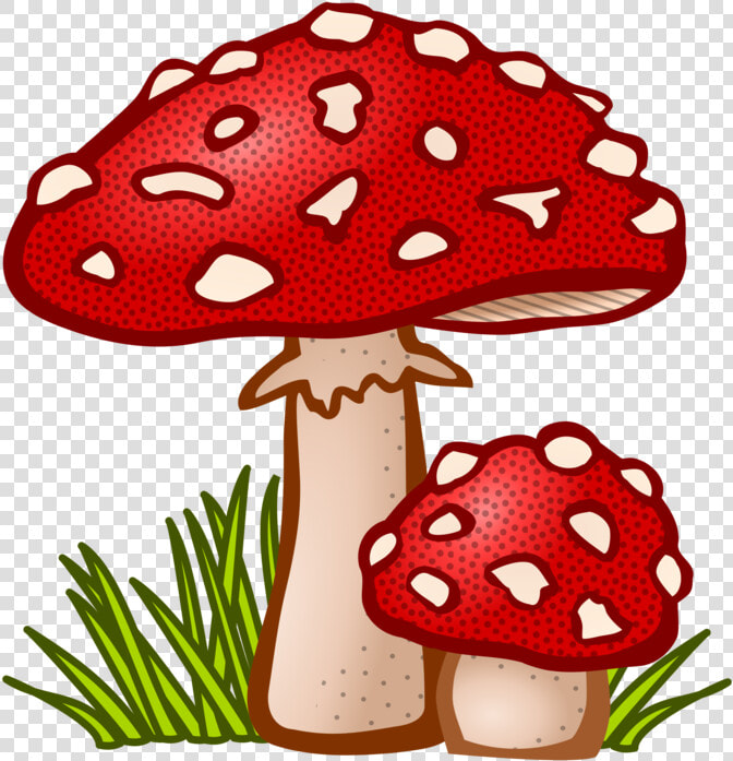 Free Cliparts Mushroom   Mushroom Clipart  HD Png DownloadTransparent PNG