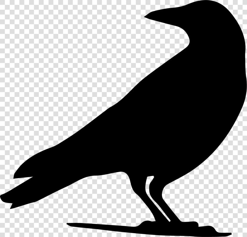 Drawing Crow Silhouette Clip Art   Crow Silhouette Png  Transparent PngTransparent PNG