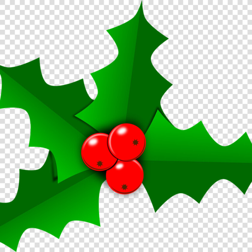 Holly Images Free Holly Christmas Leaf Free Vector   Transparent Holly Leaf Png  Png DownloadTransparent PNG