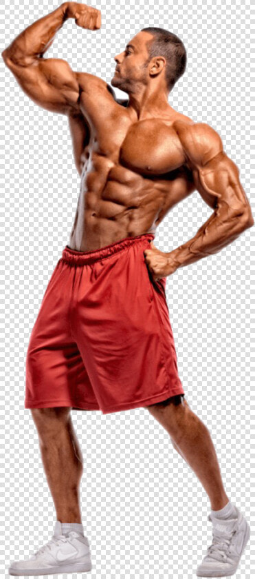 Bodybuilder Full Size Png  Transparent PngTransparent PNG