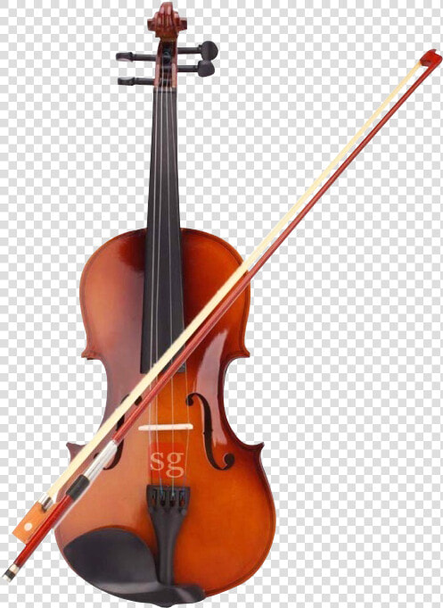 Violin Png Transparent Image   Violin Png Transparent  Png DownloadTransparent PNG