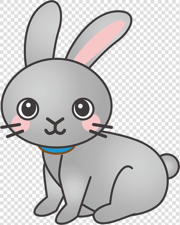 Rabbit  Bunny  Animal  Cute   Gray Bunny Drawing Easy  HD Png DownloadTransparent PNG