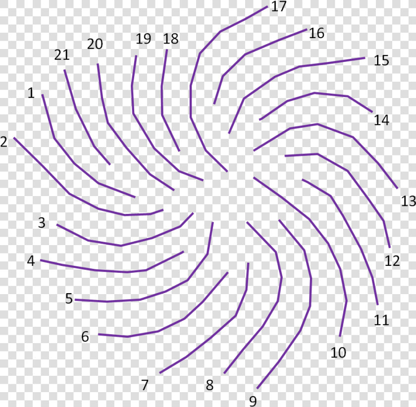 Pattern Sunflower Seed Fibonacci Clockwise Counterclockwise  HD Png DownloadTransparent PNG