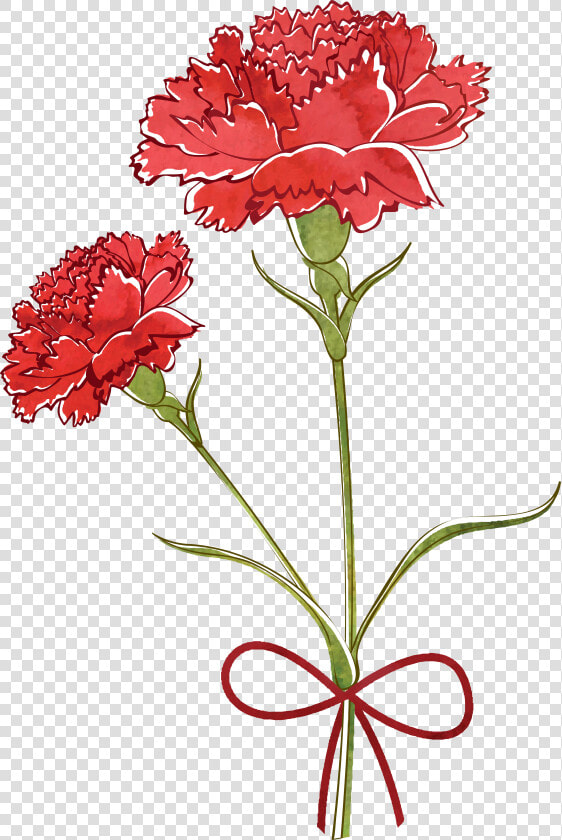 Flower Watercolor Painting Transprent Png Free Download   Carnation Vector Free  Transparent PngTransparent PNG