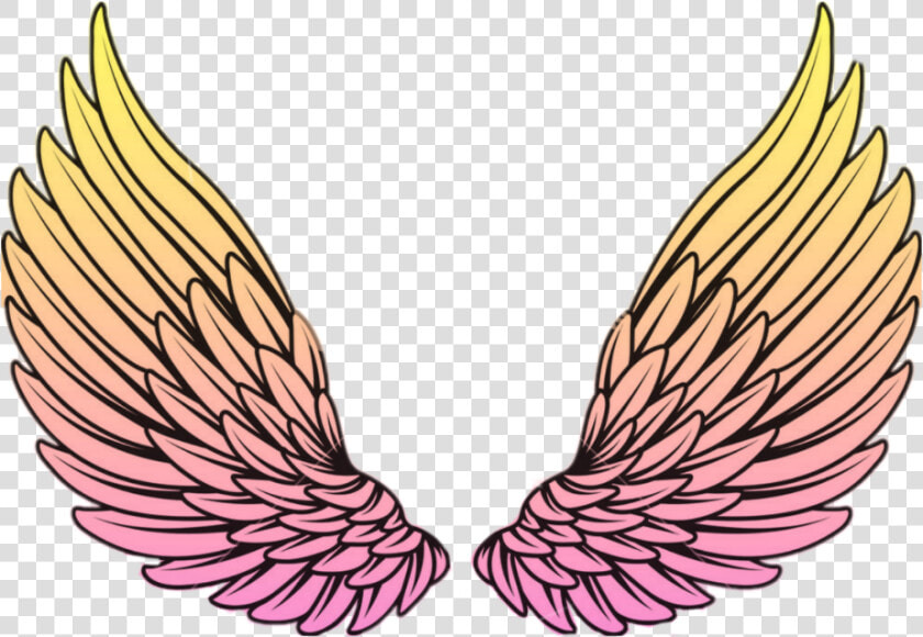  wings  wing  sayap  yellow  pink  orange   Drawing Angel Wings  HD Png DownloadTransparent PNG