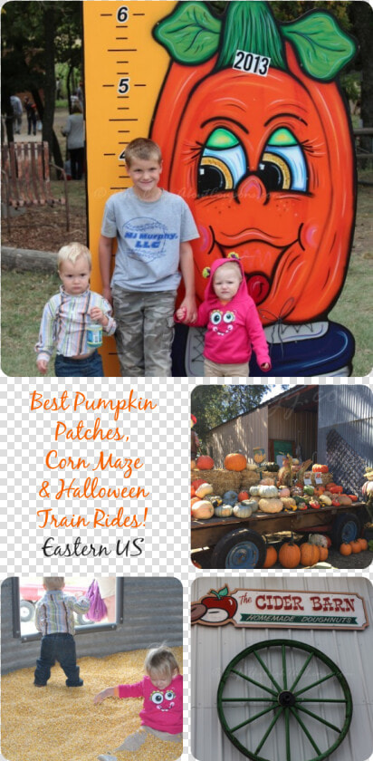 Here Is A List Of Some Of The Best Pumpkin Patches    Toddler  HD Png DownloadTransparent PNG