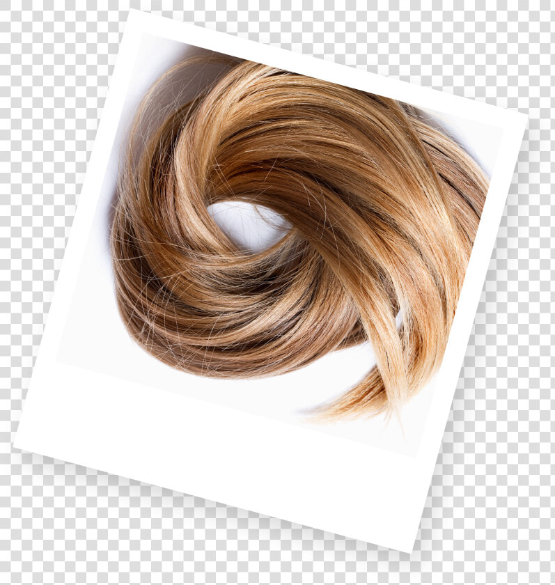 Photograph Of Woman With Blonde Hair   Blond  HD Png DownloadTransparent PNG