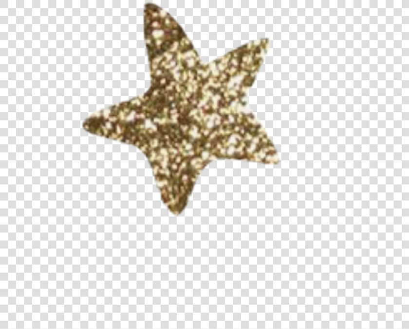  star  stars  gold  glitter  sticker  edit  goldglitter   Marine Invertebrates  HD Png DownloadTransparent PNG