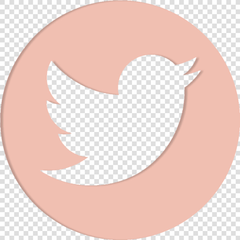 Transparent Twitter Logo Png Transparent Background   Circle Transparent Background Twitter Logo Png  Png DownloadTransparent PNG