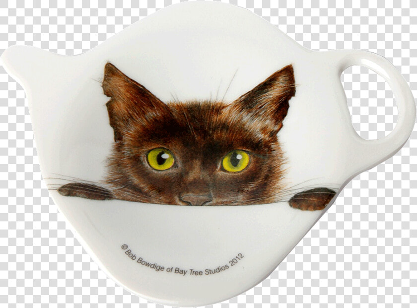 Bandeja Mini Gato   Domestic Short haired Cat  HD Png DownloadTransparent PNG