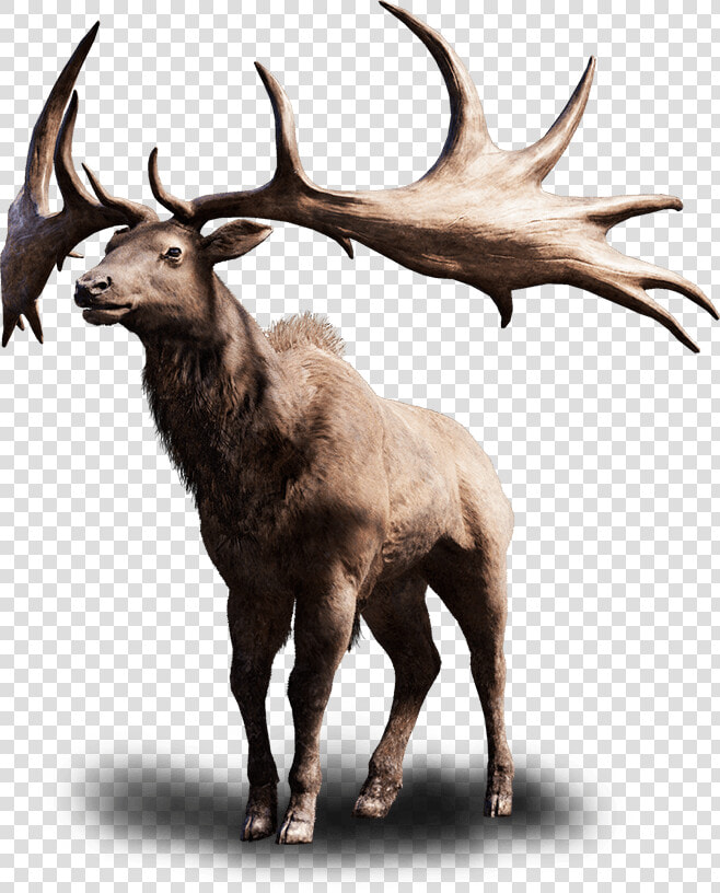 Moose  Elk Png   Far Cry Primal Alce Alto  Transparent PngTransparent PNG