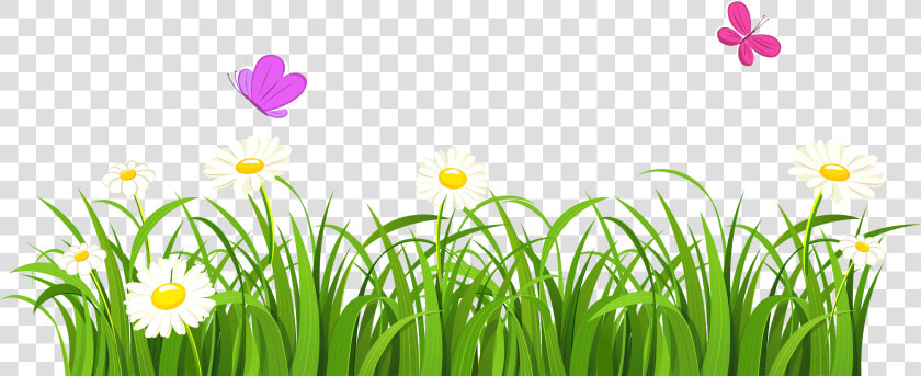 Collection Of Free Vector Bush Grass African   Clipart Grass With Flowers  HD Png DownloadTransparent PNG