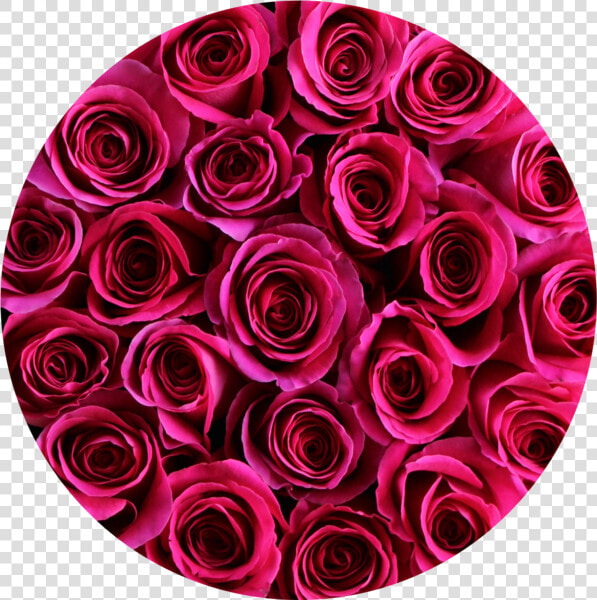 Hot Pink Roses In Round Flower Box Round   Round Flower  HD Png DownloadTransparent PNG