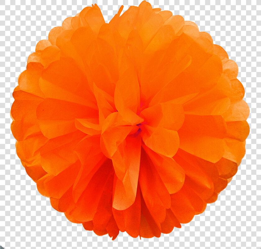 Orange Paper Pom Poms 33   Ruffle  HD Png DownloadTransparent PNG