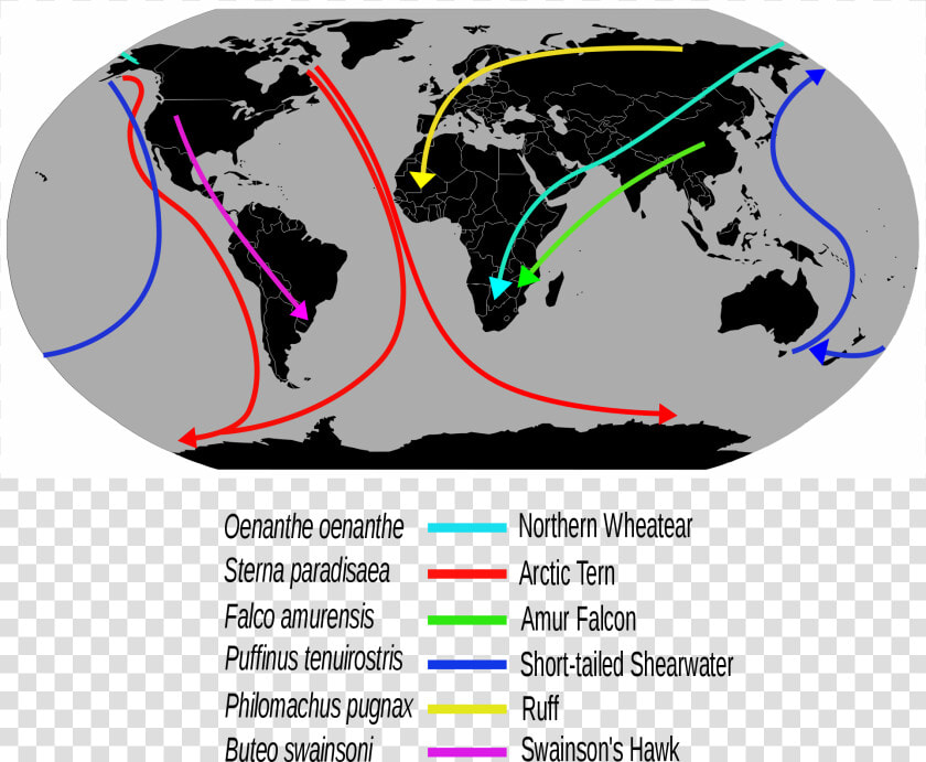 Red Crab Migration Map  HD Png DownloadTransparent PNG