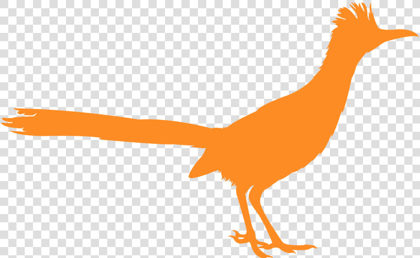 Correcaminos Vector  HD Png DownloadTransparent PNG