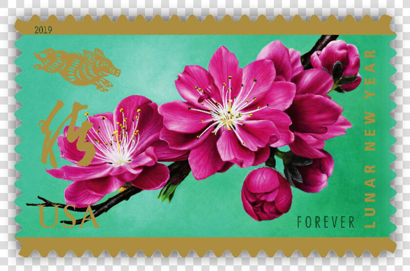 Year Of The Boar Stamp Greets Lunar New Year   Forever Stamps Floral  HD Png DownloadTransparent PNG