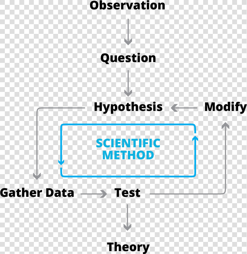 Insights Data Observation  HD Png DownloadTransparent PNG