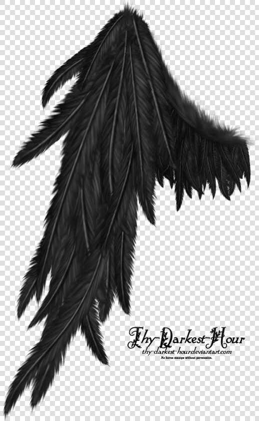 Realistic Demon Wings Png   Transparent Dark Angel Wings  Png DownloadTransparent PNG