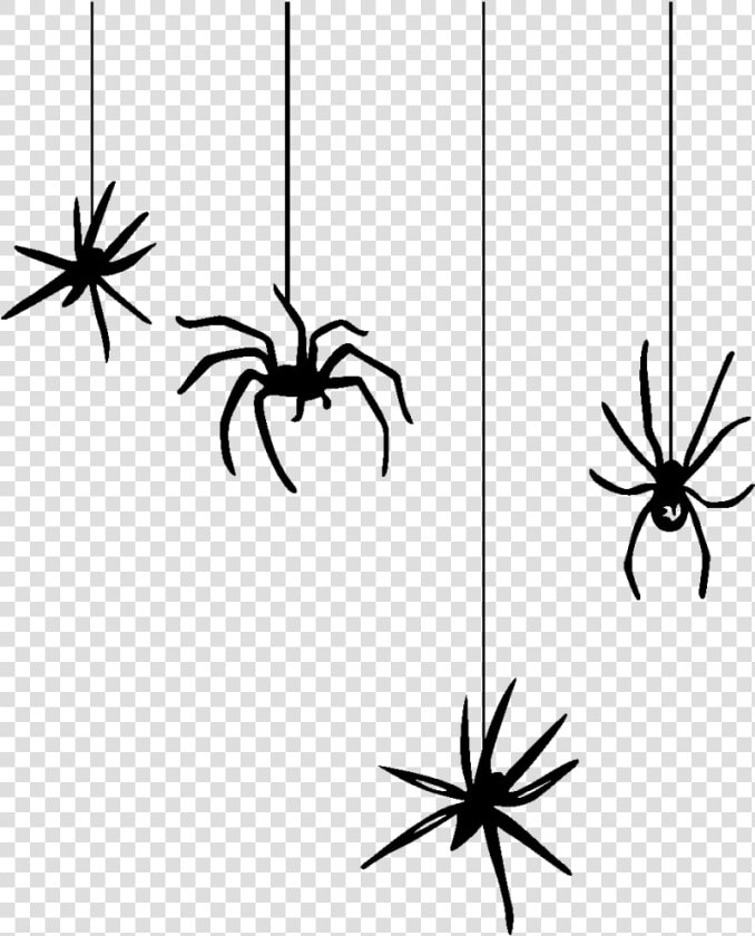 Hanging Spider Png   Spider Clipart  Transparent PngTransparent PNG