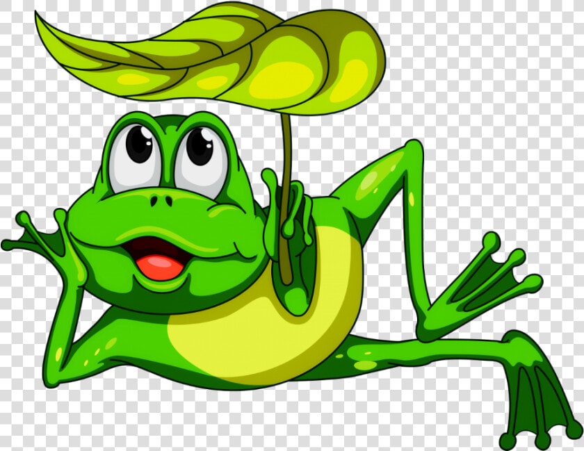  mq  green  frog  frogs  toad   Cartoon Frog Transparent Background  HD Png DownloadTransparent PNG