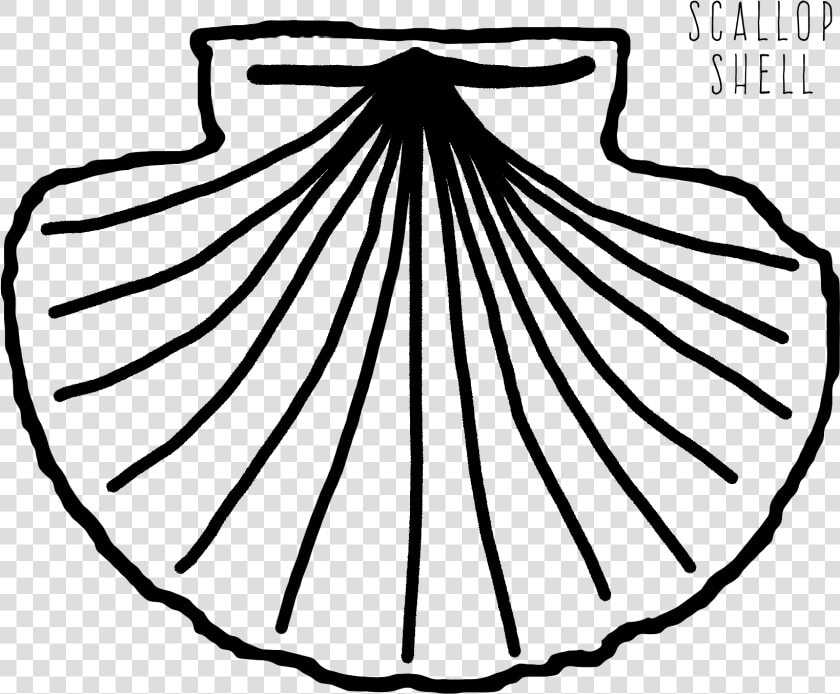 Scallop Shell Coloring Page  HD Png DownloadTransparent PNG