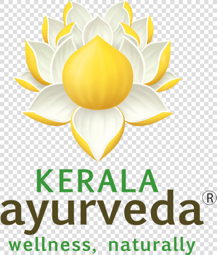 Gold Sponsor   Kerala Ayurveda Academy Logo  HD Png DownloadTransparent PNG