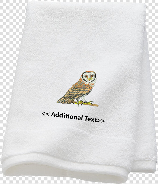 Screech Owl  HD Png DownloadTransparent PNG