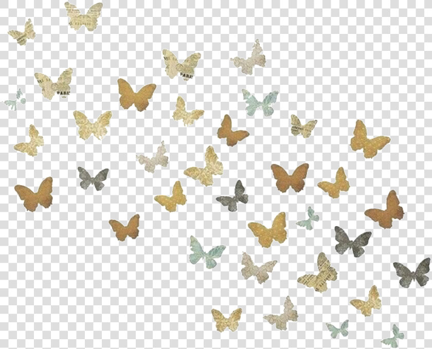  png  pngs  transparent  transparents  sticker  stickers   Mariposa Tumblr Png  Png DownloadTransparent PNG