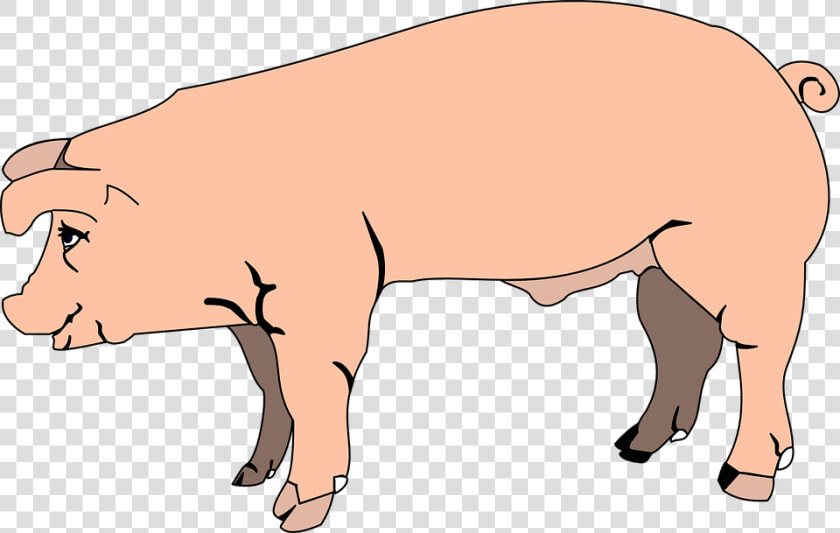 Pink  Pig  View  Barn  Farm  Side  Animal   Hog Clipart  HD Png DownloadTransparent PNG