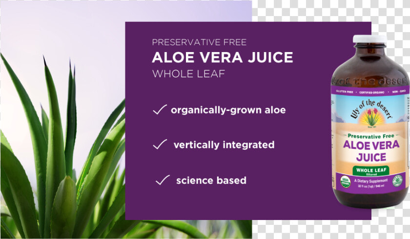 Aloe Vera Juice Whole Leaf   Aloe Vera  HD Png DownloadTransparent PNG