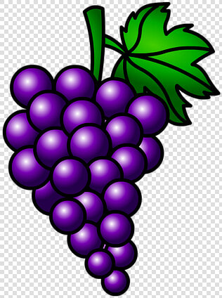 Uvas  Frutas  Racimo   Racimo De Uvas Moradas  HD Png DownloadTransparent PNG