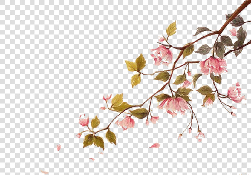 Falling Cherry Blossoms Png   Cherry Blossom Branch Watercolor  Transparent PngTransparent PNG