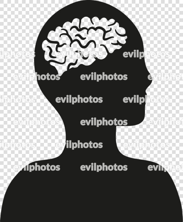 Brain Drawing Vector And Stock Photo   Drawing  HD Png DownloadTransparent PNG