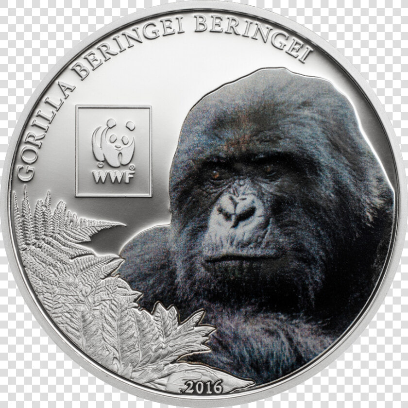 Transparent Silverback Gorilla Png  Png DownloadTransparent PNG