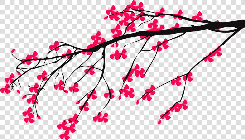 Transparent Cherry Blossom Branch Clipart   Cherry Blossom Tree Draw  HD Png DownloadTransparent PNG