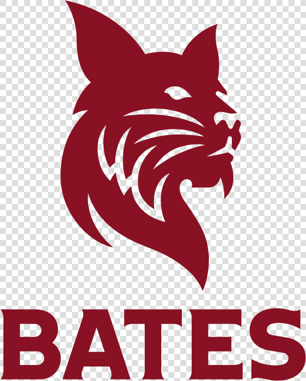 Bates 2   Bates Bobcats  HD Png DownloadTransparent PNG