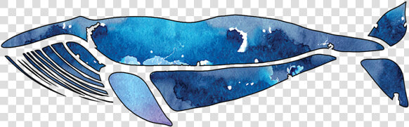 Blue Whale Quilts   Buckelwal Logo  HD Png DownloadTransparent PNG