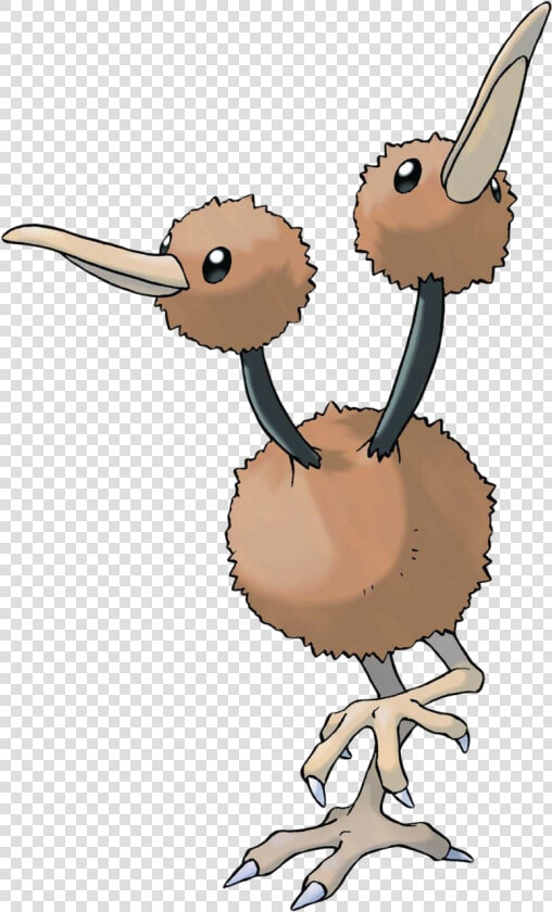 Thumb Image   Pokemon Doduo  HD Png DownloadTransparent PNG