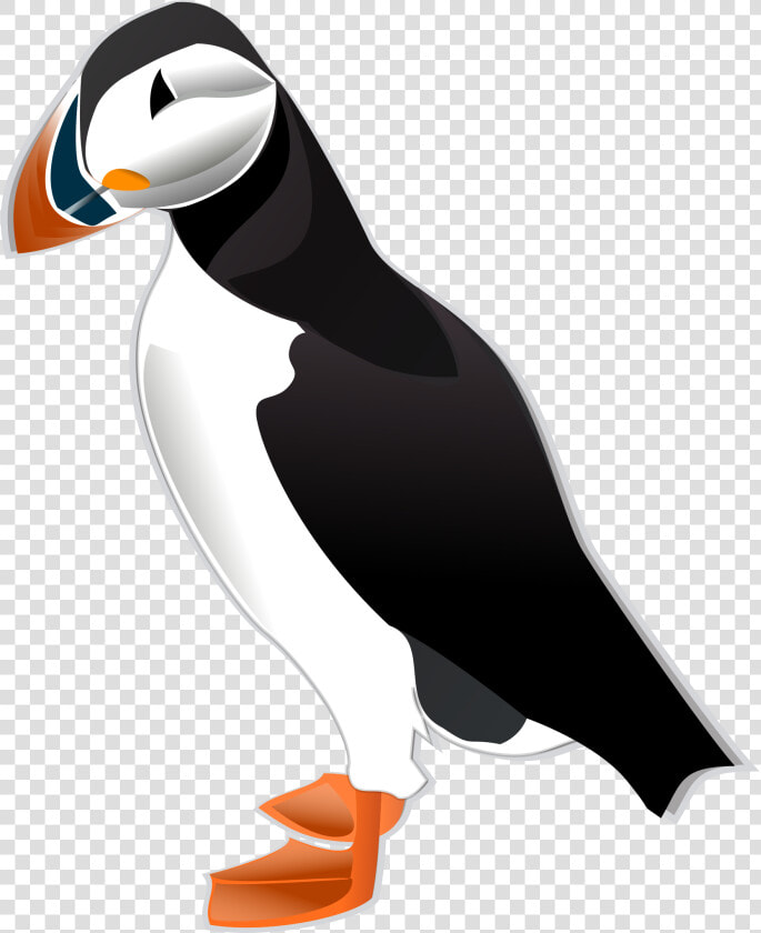 Atlantic Puffin Png   Puffin Clipart  Transparent PngTransparent PNG