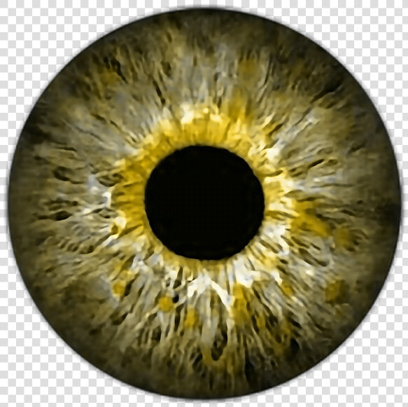  eye    eyes    eyeball    eyeballs   Red Eye Lens Png  Transparent PngTransparent PNG