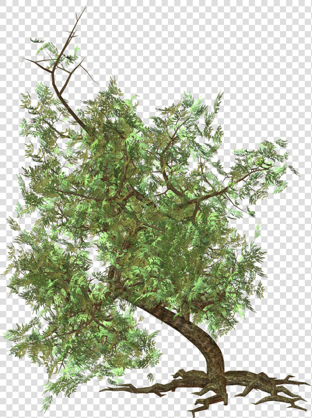 Green Tree Clipart   Blocos Sketchup Vegetação  HD Png DownloadTransparent PNG