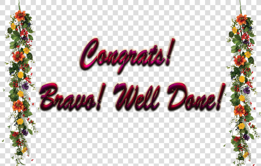 Congrats Bravo Well Done Png Free Image Download   Christmas Tree  Transparent PngTransparent PNG