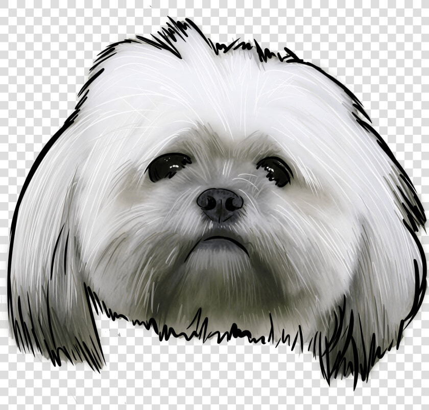 Lhasa Apso Logo  HD Png DownloadTransparent PNG