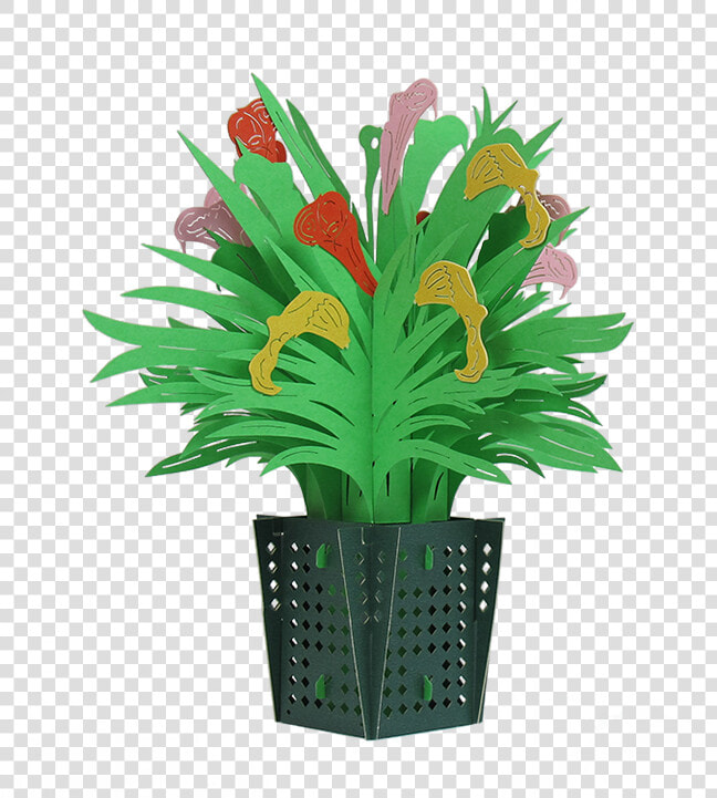 Transparent House Plant Png   Houseplant  Png DownloadTransparent PNG